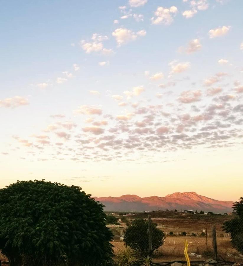 Villa Terra Monarca à Valle de Guadalupe Extérieur photo